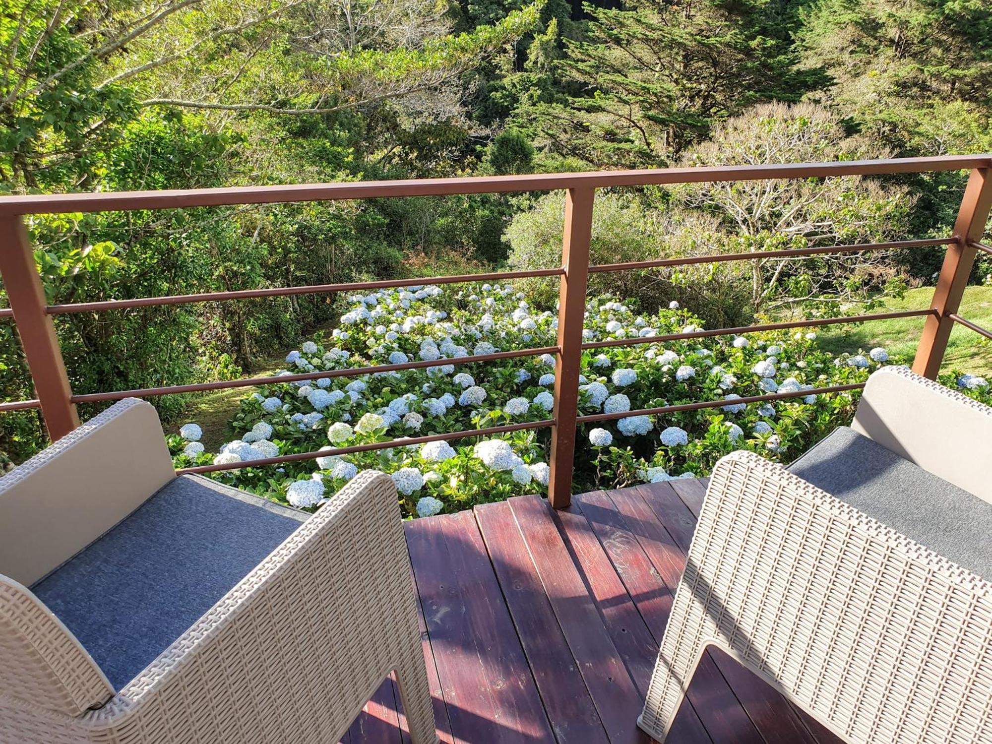 阿拉胡埃拉Quinta Esencia别墅 外观 照片